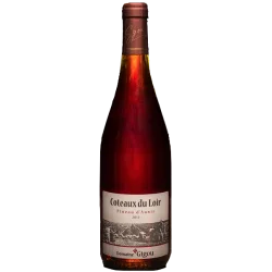 Fantastique Pineau d\'Aunis 2017, domaine Gigou, Coteaux du Loir en vente chez Divine Wines, le meilleur caviste de Bruxelles