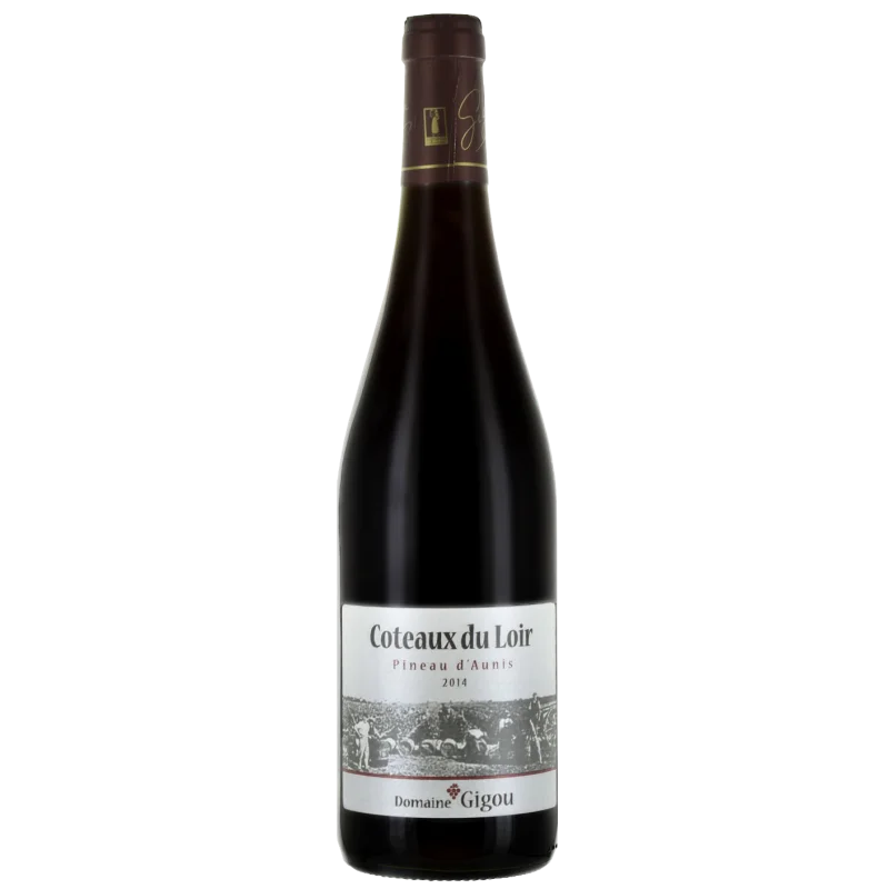 Fantastique Pineau d\'Aunis 2017, domaine Gigou, Coteaux du Loir en vente chez Divine Wines, le meilleur caviste de Bruxelles