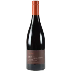 Fantastique Le Grand Pas 2013, domaine Du Pas De L\'Escalette, Terrasses du Larzac en vente chez Divine Wines, le meilleur ca