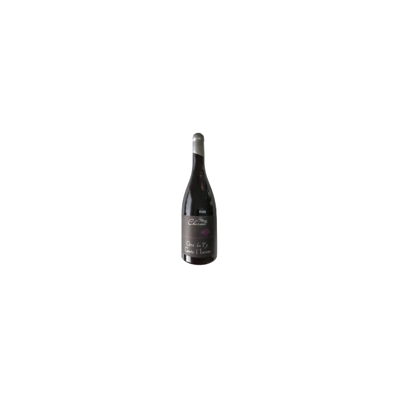 Fantastique L\'Intime 2015, Steeve Charvet, Morgon Côte du Py en vente chez Divine Wines, le meilleur caviste de Bruxelles