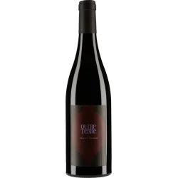 Fantastique Outre Terre 2018, domaine des Roches Neuves, Saumur Champigny en vente chez Divine Wines, le meilleur caviste de 