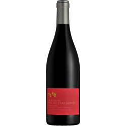 Fantastique 150cl ⏐ Les Petits Pas 2019 - domaine Du Pas De L\'Escalette, Terrasses du Larzac, magnum en vente chez Divine Wi