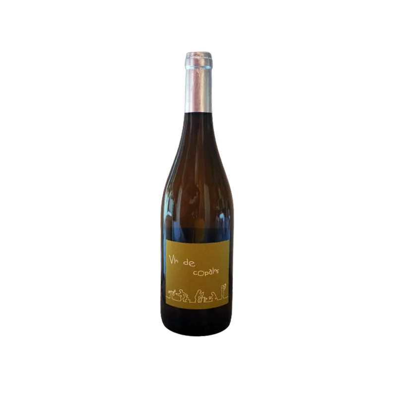 Fantastique Vin de Copains, Laurent Herlin en vente chez Divine Wines, le meilleur caviste de Bruxelles