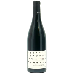 Fantastique Les Mémoires 2020, domaine des Roches Neuves, Saumur Champigny en vente chez Divine Wines, le meilleur caviste de