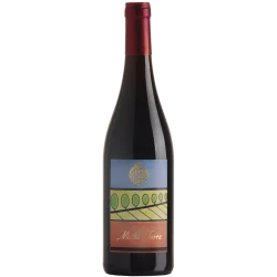 Fantastique Minha Terra 2020, domaine Duseigneur, Vin de France en vente chez Divine Wines, le meilleur caviste de Bruxelles