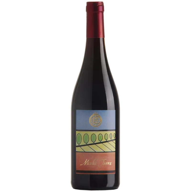 Fantastique Minha Terra 2020, domaine Duseigneur, Vin de France en vente chez Divine Wines, le meilleur caviste de Bruxelles