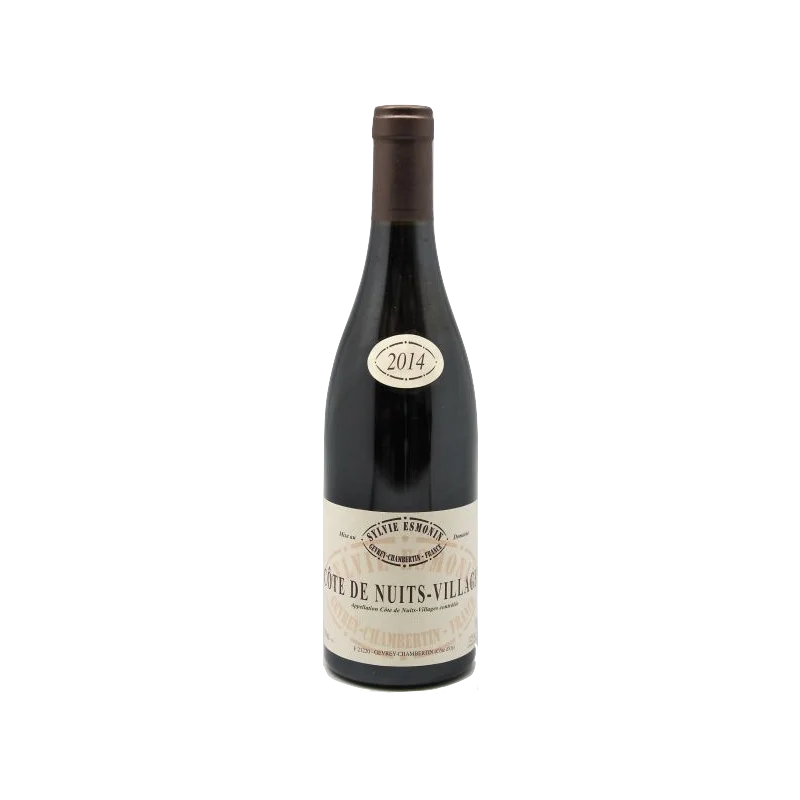 Fantastique Côte de Nuits Villages 2020, Sylvie Esmonin en vente chez Divine Wines, le meilleur caviste de Bruxelles