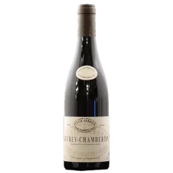 Fantastique Gevrey Chambertin 2020, Sylvie Esmonin en vente chez Divine Wines, le meilleur caviste de Bruxelles