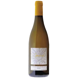 Fantastique Cynarah blanc 2020, Château de Cazeneuve, IGP Val de Montferrand en vente chez Divine Wines, le meilleur caviste 