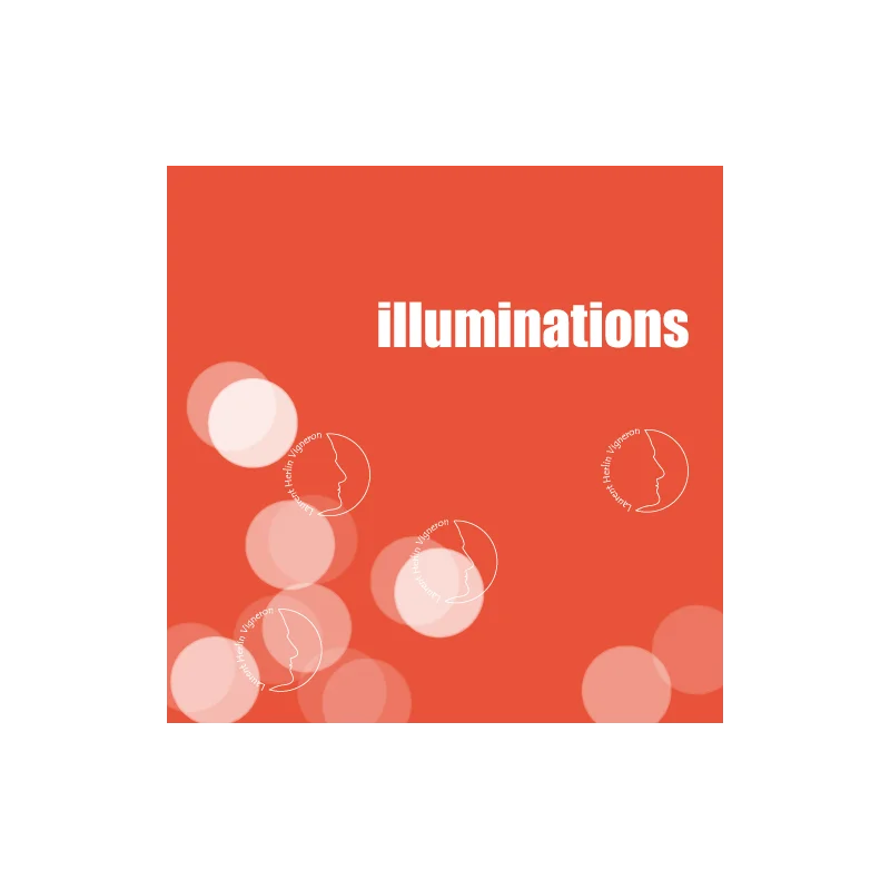 Fantastique Illuminations 2017, Laurent Herlin, Bourgueil en vente chez Divine Wines, le meilleur caviste de Bruxelles