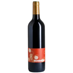 Fantastique Illuminations 2017, Laurent Herlin, Bourgueil en vente chez Divine Wines, le meilleur caviste de Bruxelles