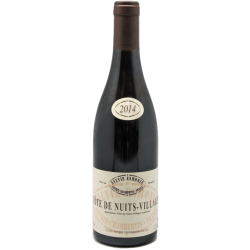 Fantastique Côte de Nuits Villages 2020, Sylvie Esmonin en vente chez Divine Wines, le meilleur caviste de Bruxelles