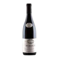 Fantastique Bourgogne Cuvée Sylvie 2021, Sylvie Esmonin en vente chez Divine Wines, meilleur caviste de Bruxelles