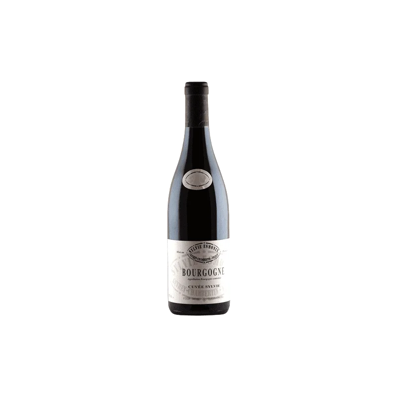 Great Bourgogne Cuvée Sylvie 2021, Sylvie Esmonin from Burgundy easily on sale at Divine Wines