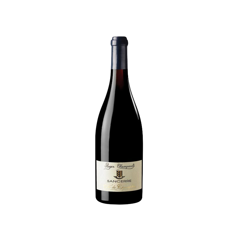 Fantastique Côte de Champtin rouge 2020, Roger Champault, Sancerre en vente chez Divine Wines, le meilleur caviste de Bruxell