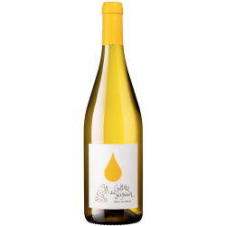 Fantastique La Goutte du Seigneur blanc 2022, domaine Duseigneur, Côtes du Rhône en vente chez Divine Wines, le meilleur cavi