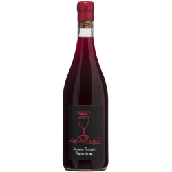 Iconoclaste 2022, Domaine Fouassier, Sancerre red