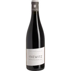 Spätburgunder 2022, Weingut Knewitz, Rheinhessen