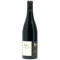 Fantastique Terres Chaudes 2022, domaine des Roches Neuves, Saumur Champigny en vente chez Divine Wines, le meilleur caviste