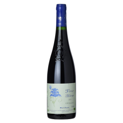Fantastique Fleur Bleue 2018, domaine Bouchet, Vin de France (Saumur) en vente chez Divine Wines, le meilleur caviste de Brux
