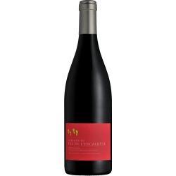 Fantastique 150cl ⏐ Les Petits Pas 2019 - domaine Du Pas De L\'Escalette, Terrasses du Larzac, magnum en vente chez Divine Wi