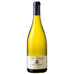 Fantastique Côte de Champtin blanc 2021, Roger Champault, Sancerre en vente chez Divine Wines, le meilleur caviste de Bruxell