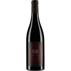 Fantastique Outre Terre 2018, domaine des Roches Neuves, Saumur Champigny en vente chez Divine Wines, le meilleur caviste de 