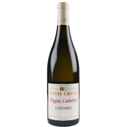 Fantastique Pagus Luminis 2023, domaine Louis Cheze, Condrieu en vente chez Divine Wines, le meilleur caviste de Bruxelles