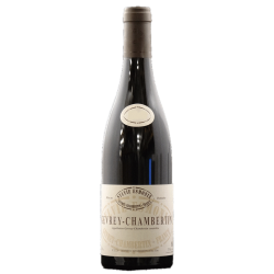 Fantastique Gevrey Chambertin 2020, Sylvie Esmonin en vente chez Divine Wines, le meilleur caviste de Bruxelles