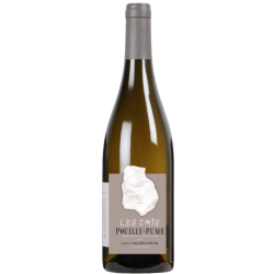 Fantastique Les Cris 2021, Loïc Cailbourdin, Pouilly-Fumé en vente chez Divine Wines, le meilleur caviste de Bruxelles
