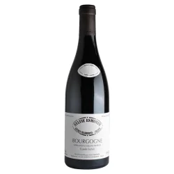 Fantastique Bourgogne La Cuvée Sylvie de Sylvie Esmonin en vente chez Divine Wines, meilleur caviste de Bruxelles