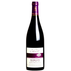 Fantastique Morgon Côte du Py 2021, Steeve Charvet en vente chez Divine Wines, le meilleur caviste de Bruxelles