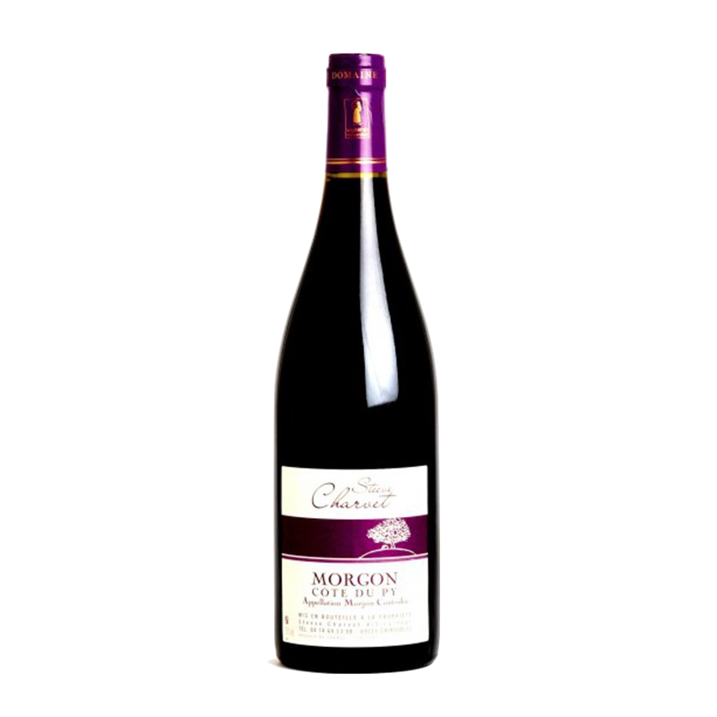 Fantastique Morgon Côte du Py 2021, Steeve Charvet en vente chez Divine Wines, le meilleur caviste de Bruxelles