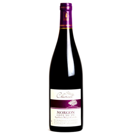 Fantastique Morgon Côte du Py 2021, Steeve Charvet en vente chez Divine Wines, le meilleur caviste de Bruxelles