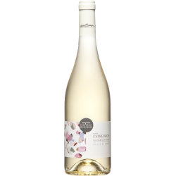 Fantastique Expression blanc 2022, Château Beaubois, Costières de Nîmes en vente chez Divine Wines, le meilleur caviste de Br