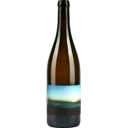 Albore white 2023, Cantina di Torra, Nicolas Mariotti Bindi, Patrimonio