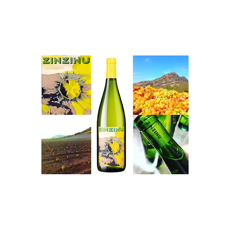 Fantastique Zinzinu blanc 2019, Cantina di Torra-Nicolas Mariotti Bindi en bouteille de 1L en vente chez Divine Wines, le mei