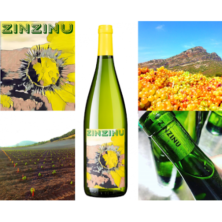 Zinzinu wit 2019, Cantina di Torra-Nicolas Mariotti Bindi in 1L fles
