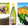 Zinzinu white 2019, Cantina di Torra-Nicolas Mariotti Bindi 1 bottle of 1L