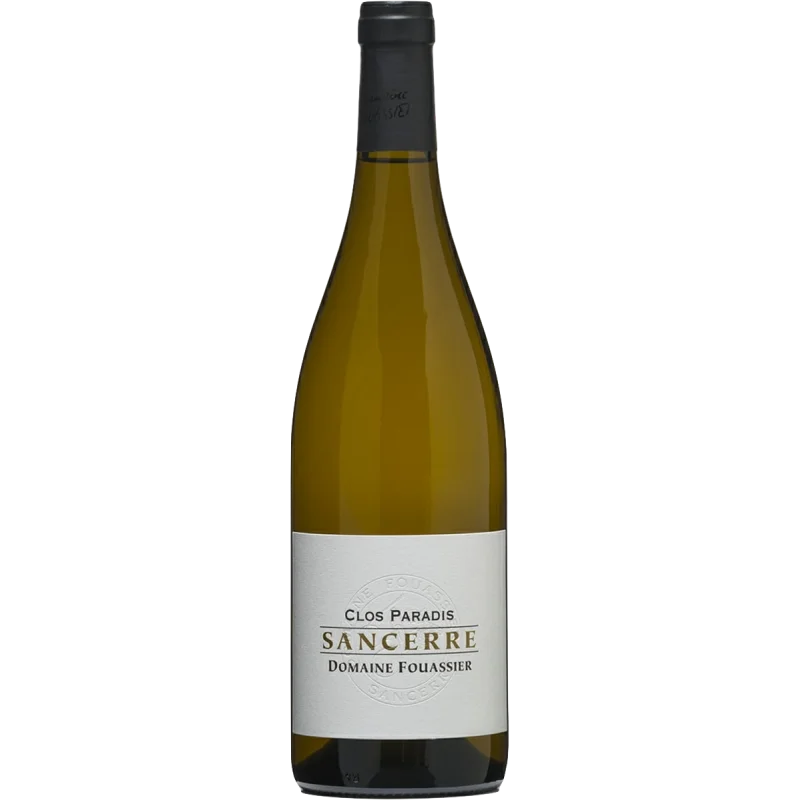 Fantastique Sur le Fort 2022, Domaine Fouassier, Sancerre en vente chez Divine Wines, le meilleur caviste de Bruxelles