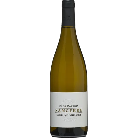 Fantastique Sur le Fort 2022, Domaine Fouassier, Sancerre en vente chez Divine Wines, le meilleur caviste de Bruxelles