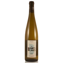 Fantastique Les Bonnets blancs 2025, Bonnet Huteau, Muscadet en vente chez Divine Wines, le meilleur caviste de Bruxelles