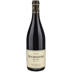 Fantastique Bourgogne Pinot Noir 2023, domaine René Bouvier en vente chez Divine Wines, le meilleur caviste de Bruxelles