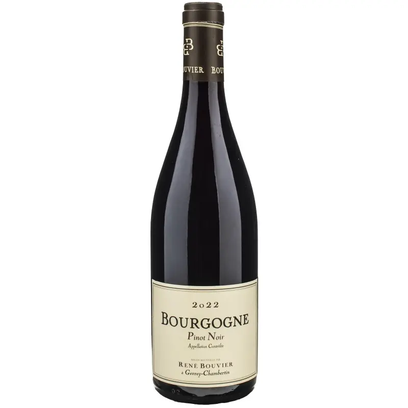 Fantastique Bourgogne Pinot Noir 2023, domaine René Bouvier en vente chez Divine Wines, le meilleur caviste de Bruxelles