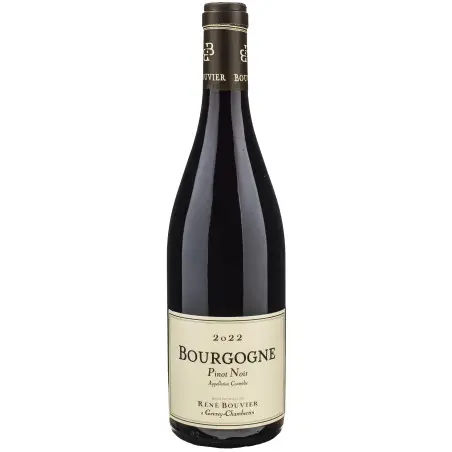 Fantastique Bourgogne Pinot Noir 2023, domaine René Bouvier en vente chez Divine Wines, le meilleur caviste de Bruxelles