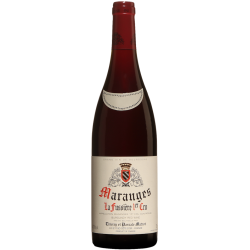 Fantastique Maranges La Fussière 1ier Cru 2020, domaine Matrot en vente chez Divine Wines, le meilleur caviste de Bruxelles