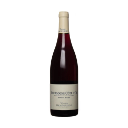 Bourgogne Côte d'Or 2021, Domaine Rodolphe Demougeot