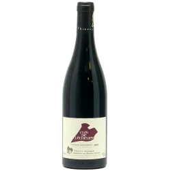 Fantastique Clos de l\'Echelier 2015, domaine des Roches Neuves, Saumur Champigny en vente chez Divine Wines, le meilleur cav