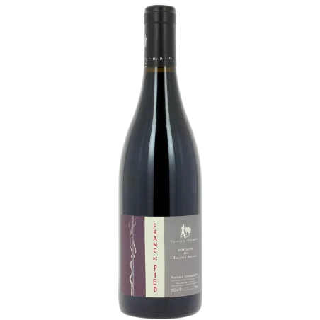 Fantastique Franc de Pied 2012, domaine des Roches Neuves, Saumur Champigny en vente chez Divine Wines, le meilleur caviste d
