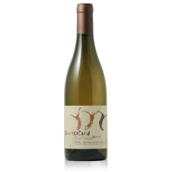 Fantastique Les Ecotards 2013, domaine des Roches Neuves, Saumur blanc en vente chez Divine Wines, le meilleur caviste de Bru